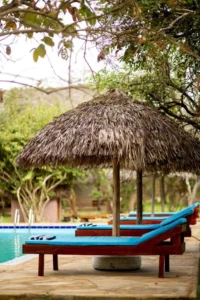 Pool Selous, Zanzibar