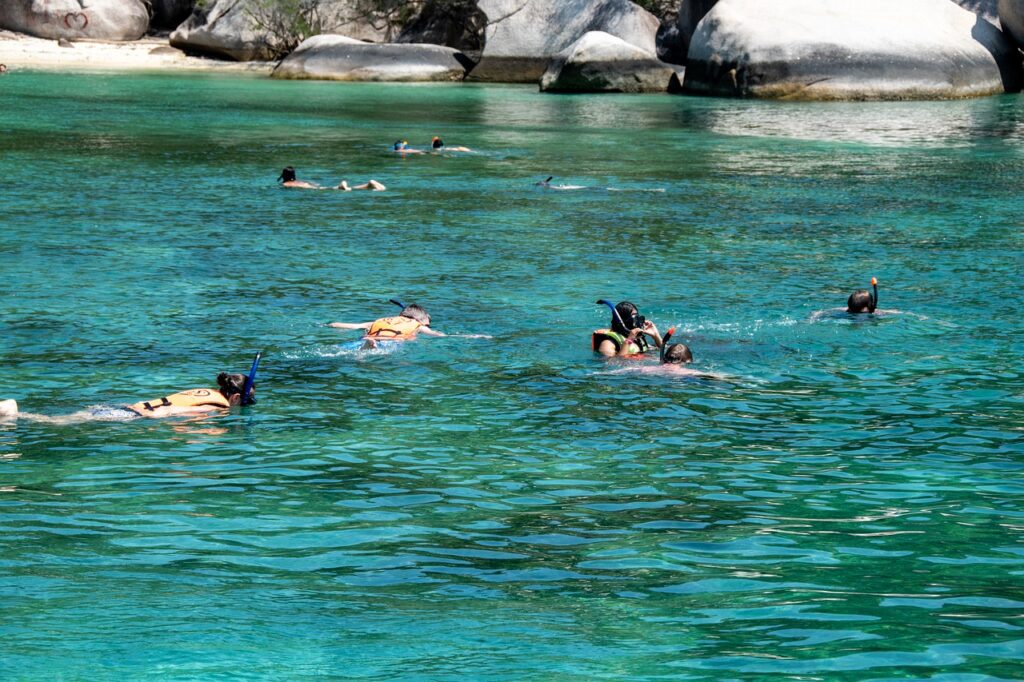 snorkeling, sea, water